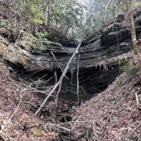 21 acres of Residential or Recreational Land for Sale in Buchanan County VA images 3