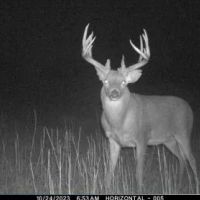 Grundy Whitetails 81