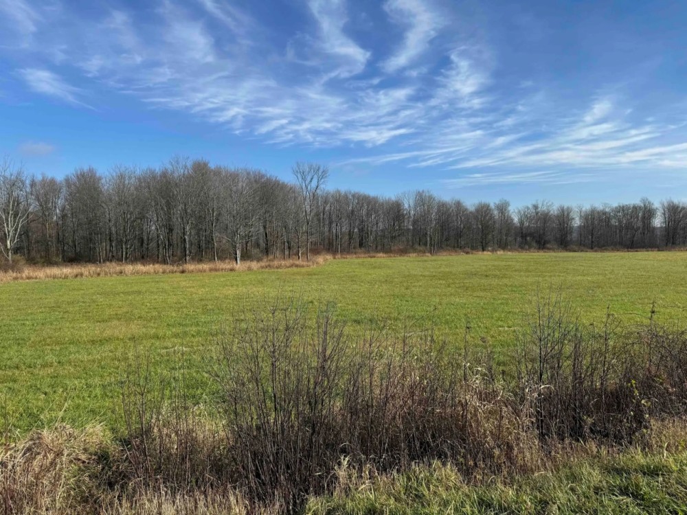 10 acres Recreational Land and Hunting Land in Ripley NY Post Road featured image