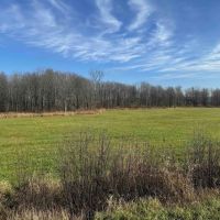 10 acres Recreational Land and Hunting Land in Ripley NY Post Road
