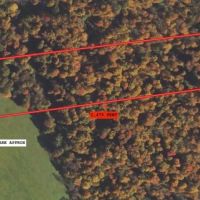10 acres Recreational Land and Hunting Land in Ripley NY Post Road images 2