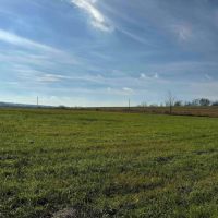 10 acres Recreational Land and Hunting Land in Ripley NY Post Road images 5