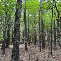 180 Acres County Line Road