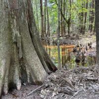 180 Acres County Line Road images 2