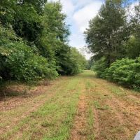 LA - Franklin 650 acres - images 3
