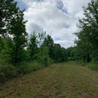 LA - Franklin 650 acres - images 5