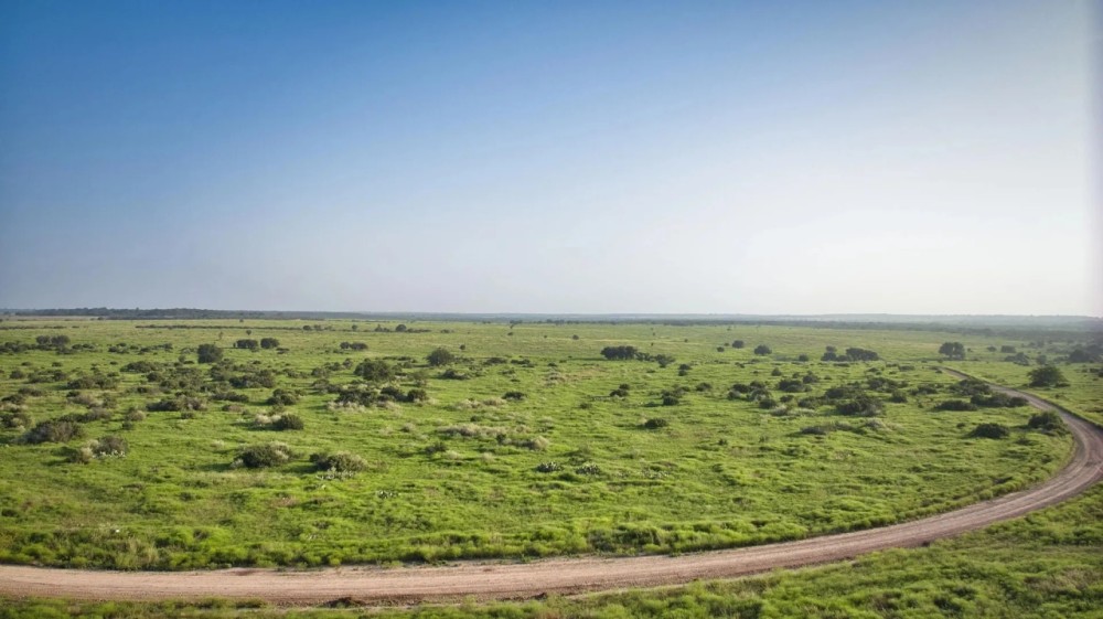 San Saba River Ranch featured image