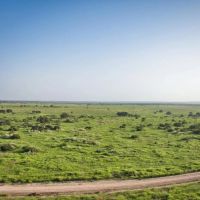 San Saba River Ranch