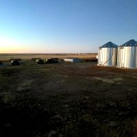 LoMac Farms