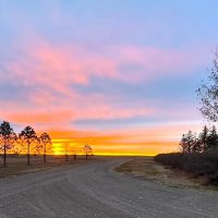 LoMac Farms images 4