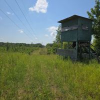 115 - Acres of Prime Hunting Property in McCall Creek MS