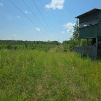 115 - Acres of Prime Hunting Property in McCall Creek MS images 2