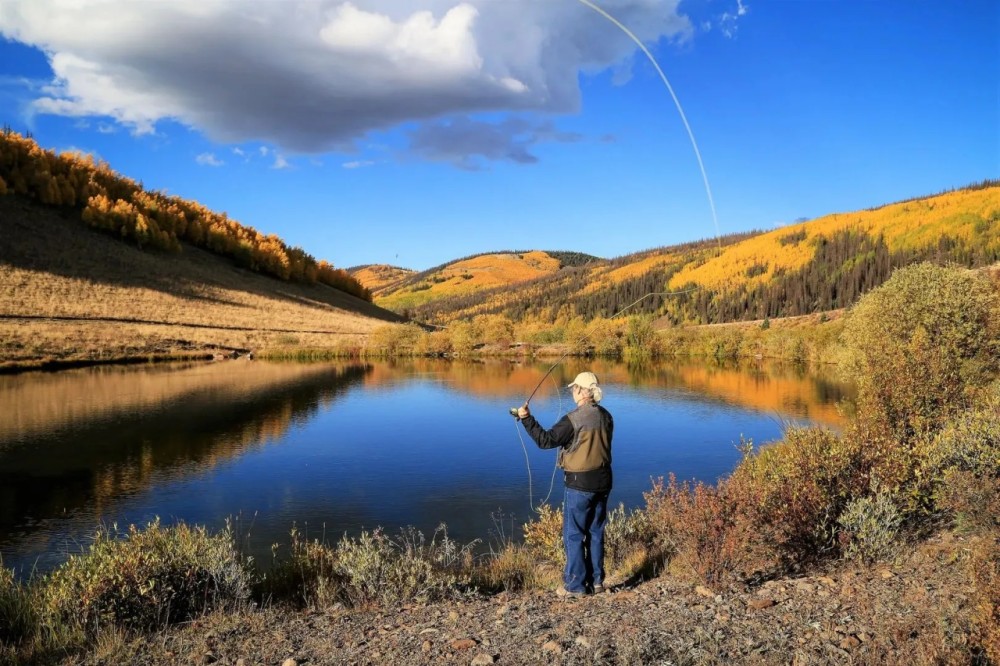 Oleo Ranch featured image