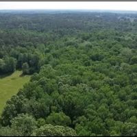 344.3 Acres in Lafayette County in Oxford MS