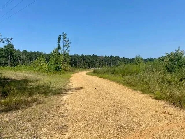 40 acres Robert Jones Road Ready to Divide featured image