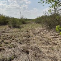 Rendon Ranch images 2
