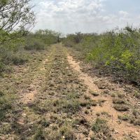 Rendon Ranch images 3