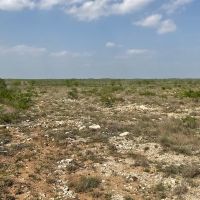Rendon Ranch images 4