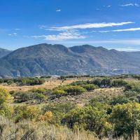 EGR Ranch images 2