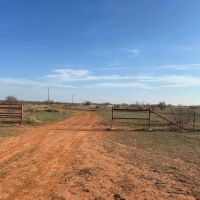 OL GLORY RANCH images 3