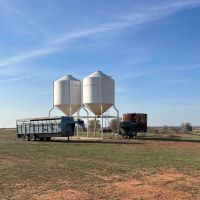 OL GLORY RANCH images 4