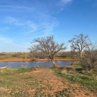 OL GLORY RANCH images 5