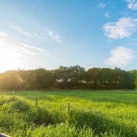 Seguin Guadalupe River Ranch images 5