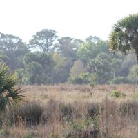 697 Acre St. Lucie County Ranch images 2