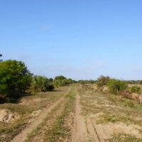 697 Acre St. Lucie County Ranch images 5