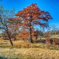 Block Creek Crossing images 3