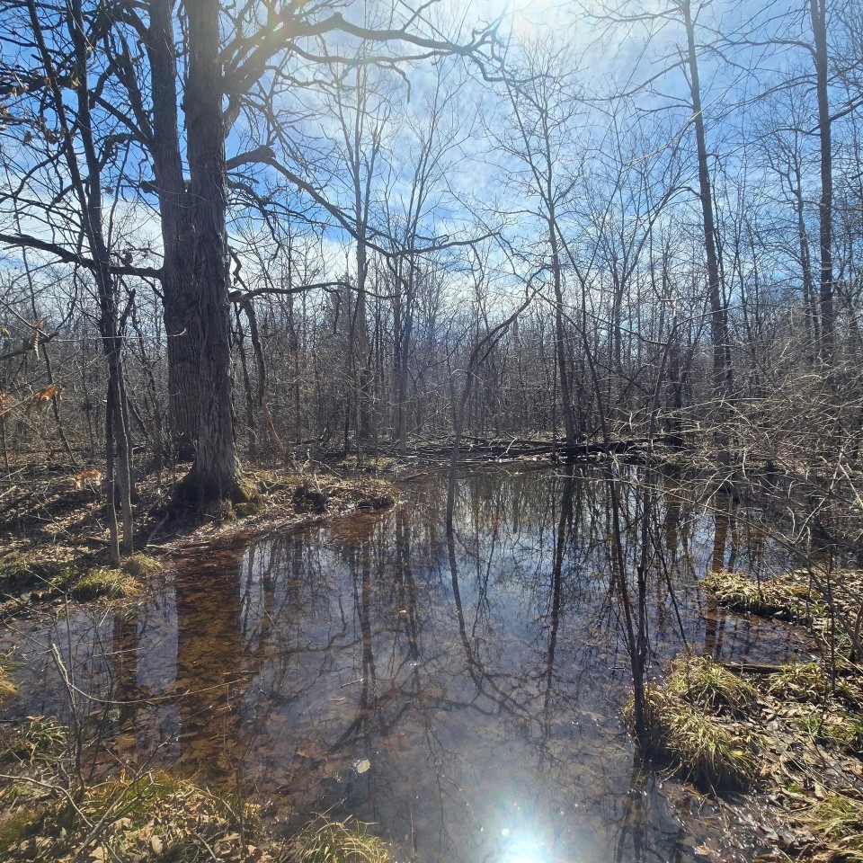 10 acre Building Lot Power Available Orleans NY featured image