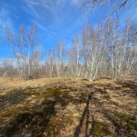 10 acre Building Lot Power Available Orleans NY images 3