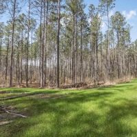 Amite County Hunting Land for Sale