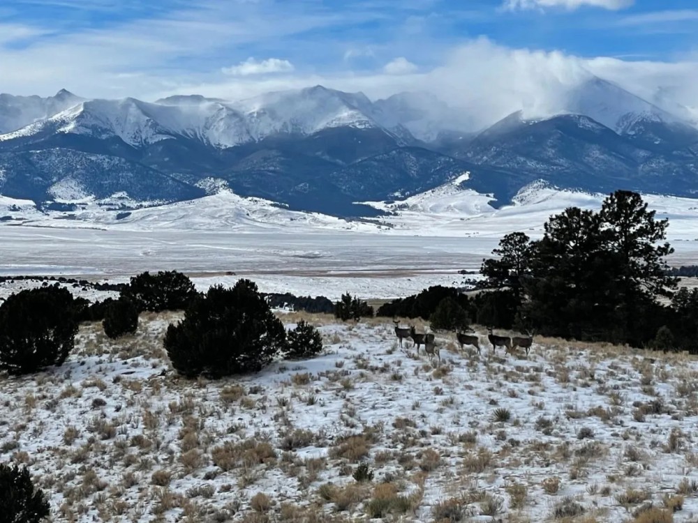 Harold G. Vickerman Ranch featured image