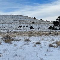 Harold G. Vickerman Ranch images 5