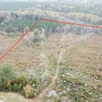 Marion County Homesites Available Up to 76 - Acres Near Hamilton AL images 3