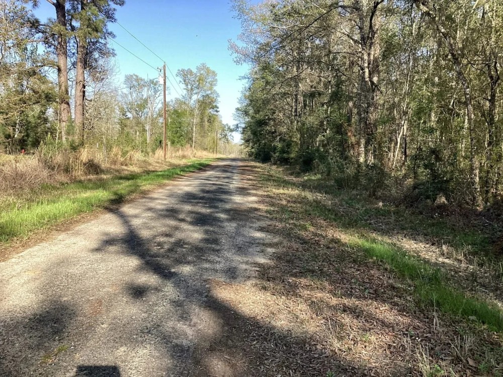 Pevoto Road Tract Calcasieu Parish 83 Acres featured image
