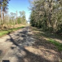 Pevoto Road Tract Calcasieu Parish 83 Acres