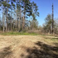 Pevoto Road Tract Calcasieu Parish 83 Acres images 2