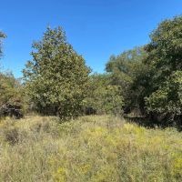 Price Improvement 11.747 Acres Comanche County images 2
