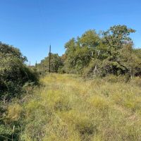 Price Improvement 11.747 Acres Comanche County images 4