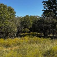 Price Improvement 11.747 Acres Comanche County images 5