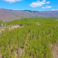 35.75 Acres With Custom Home and Mountain Views For Sale in Botetourt County VA images 2