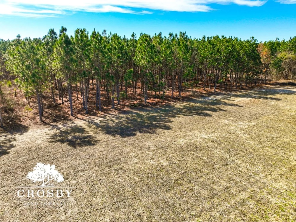 Mineral Springs Farm featured image