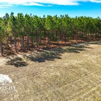 Mineral Springs Farm