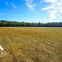 Mineral Springs Farm images 3