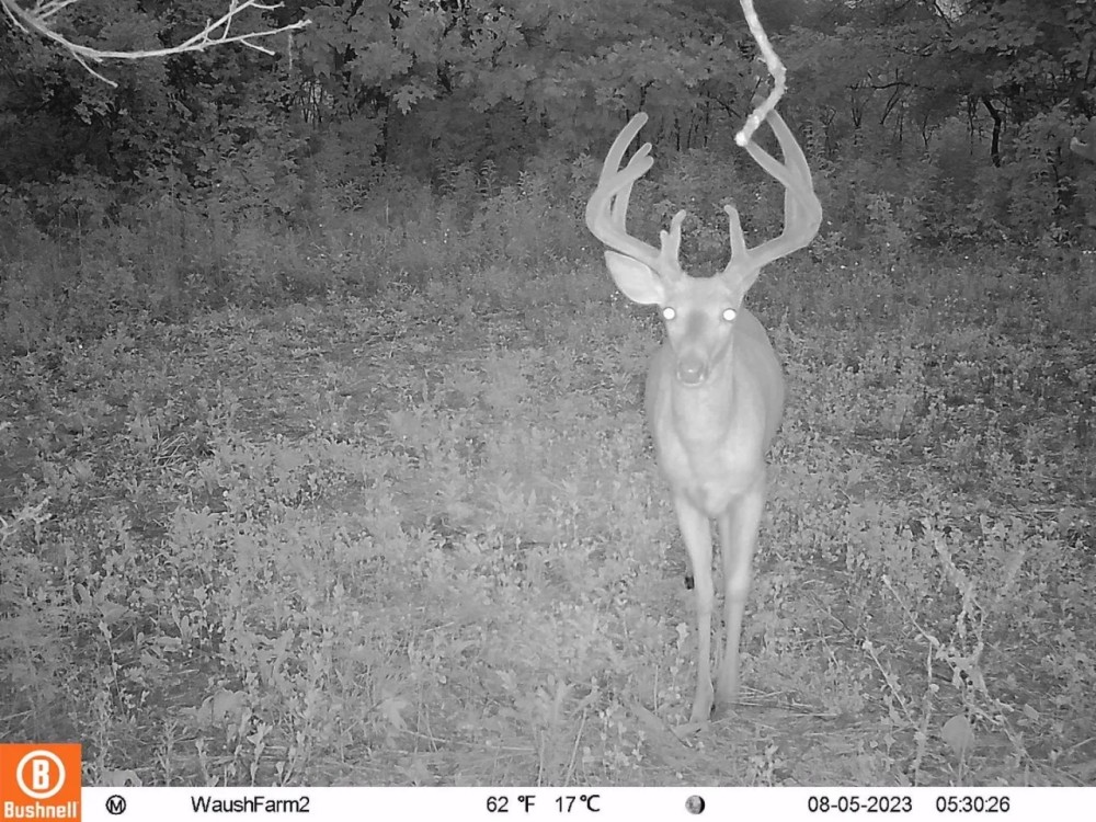 Quality hunting building recreational property featured image