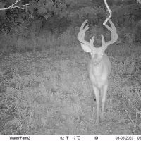 Quality hunting building recreational property