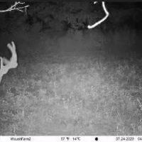 Quality hunting building recreational property images 4