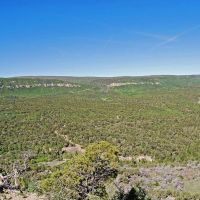 Uncompahgre Hunting Ranch images 4